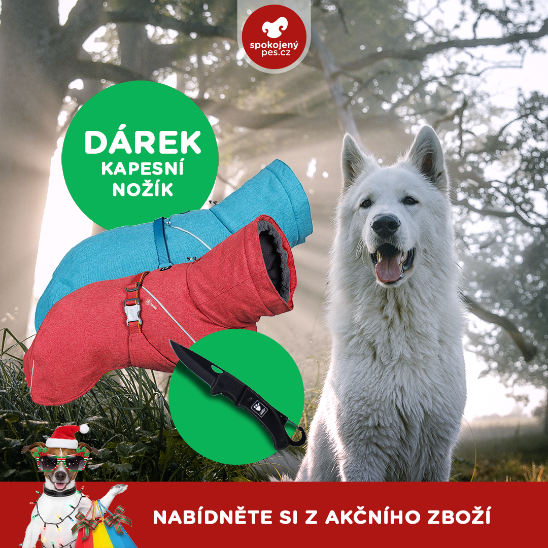 akční prosinec_pes10.png